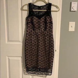 Gorgeous black lace Ann Taylor Dress
